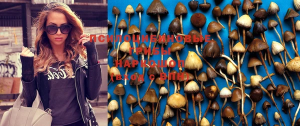 шишки Алексин