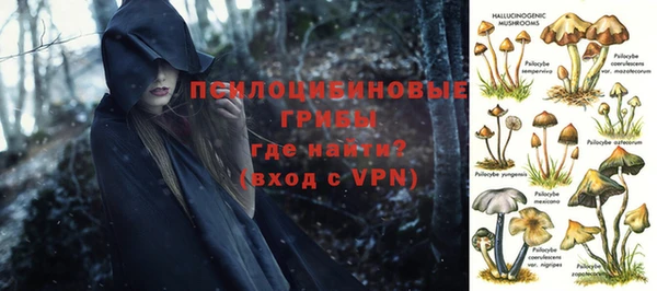 шишки Алексин