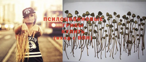 шишки Алексин